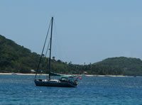 anthea