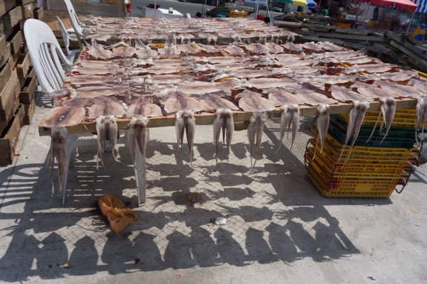 poisson sec