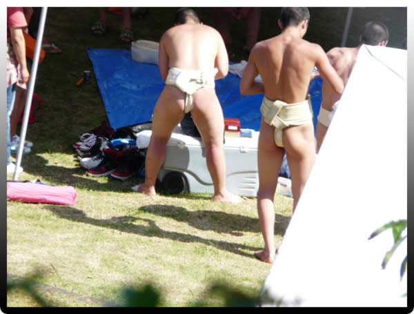 hirdo sumo