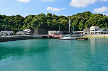 ponton de Miyaura