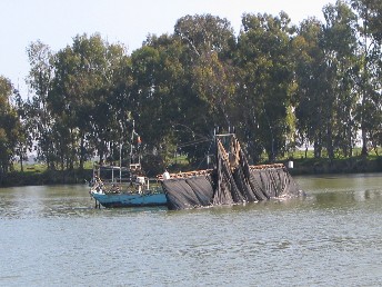 bateau libelulle