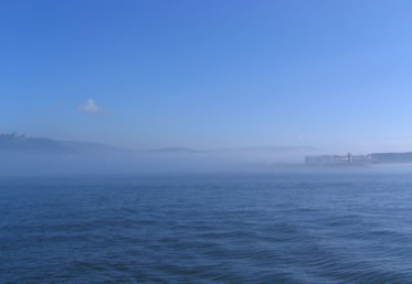brouillard