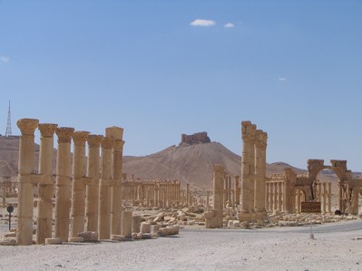 palmyra