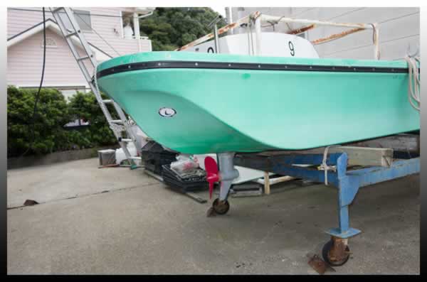 IPS Volvo Penta