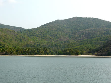 plageb
