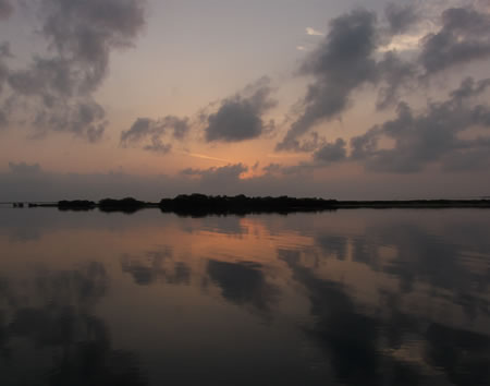 Bushy Island
