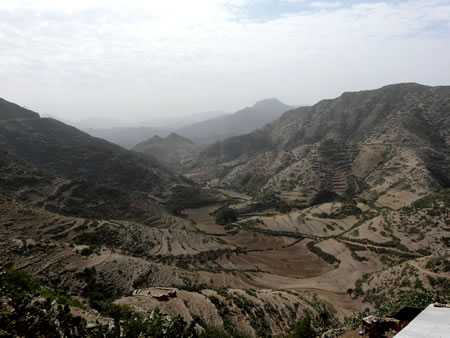montee Asmara