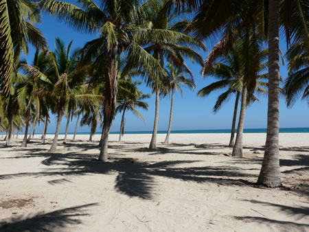 plage de Salalah