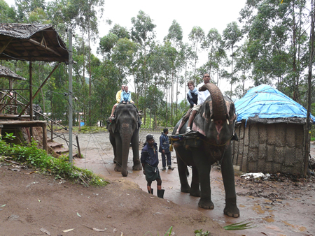 promenade en elephant
